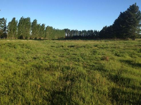 1257 Main South Road, Rolleston