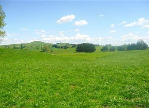 59 Lawry Road, Otorohanga