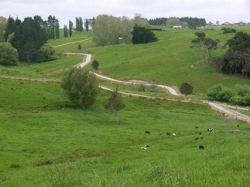 15 Ball Road, Matakohe