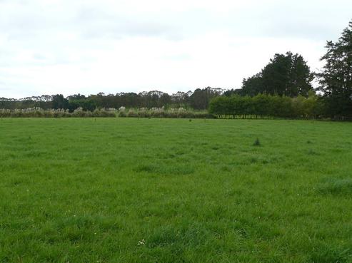 341 Rakauwahia Road, Kaikohe