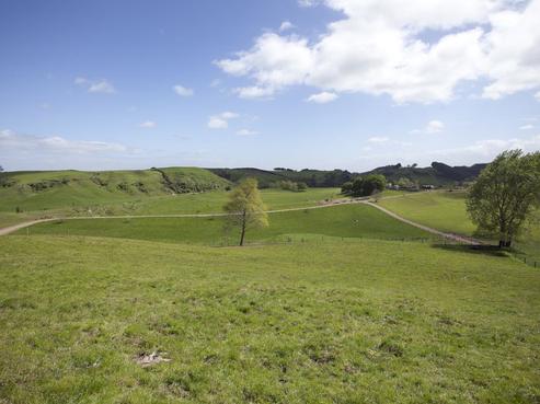 395 Morgan Road, Matamata