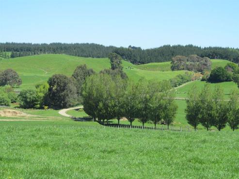 1098 Makino Road, Halcombe