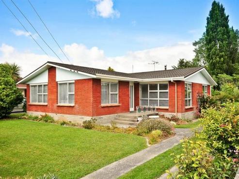 20 Chesterman Road, Riverlea