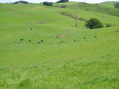 100A Hikurangi Road, Otorohanga
