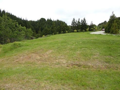 15B Tarapatiki Drive, Whitianga