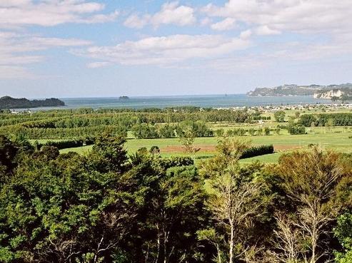 157 Moewai Road, Whitianga