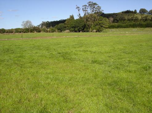 160 Hariru Road, Ohaeawai