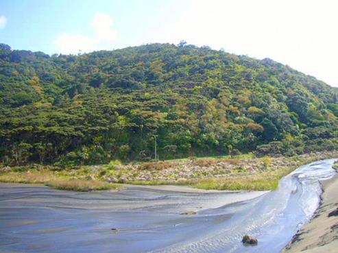 9 Tasman View Road, Bethells Beach