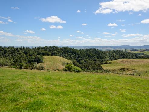 247 Rataroa Road, Miranda