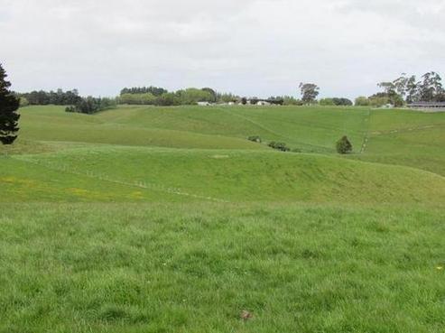226 Halcombe Road, Feilding