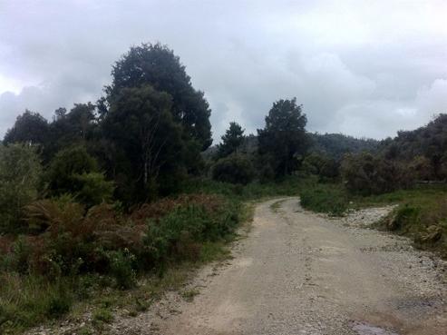 558 Notown Road, Moana / Lake Brunner