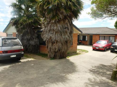 31 Pitt Avenue, Clendon Park