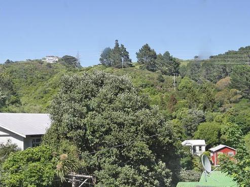 23 Adams Terrace, Aro Valley