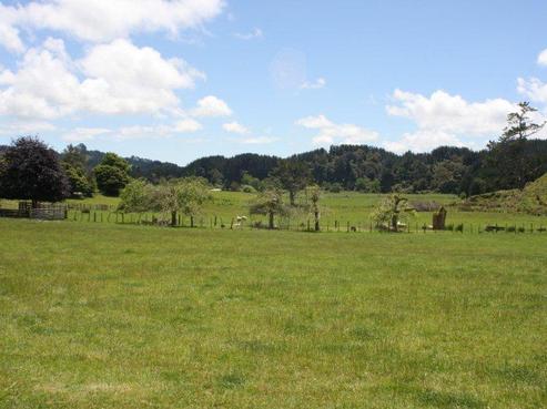 221 Autawa Road, Tarata