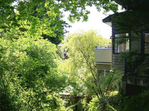 22A Korimako Road, Waipahihi