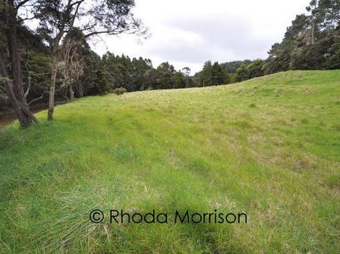77 Sterling Road, Paparoa