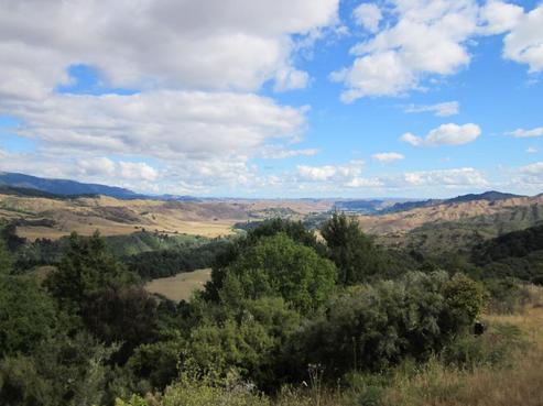 434 Rangitane Road, Taihape and Surrounds