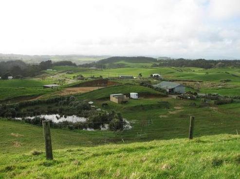 339 Mahuta Road, Dargaville Surrounds