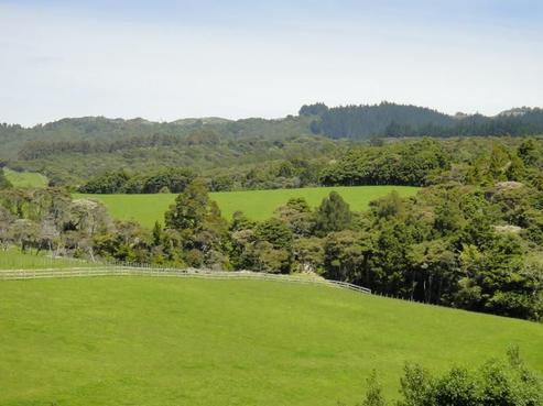 1038 Cove Road, Langs Beach