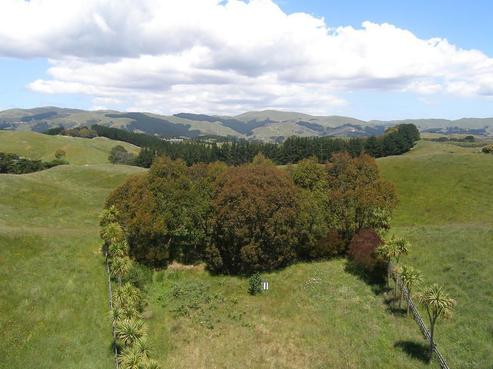 247A Flightys Road, Pauatahanui