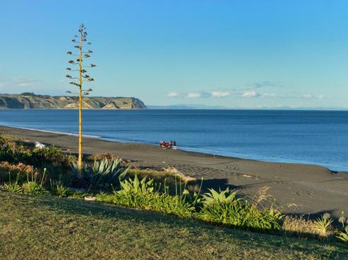 223 Whirinaki Road, Eskdale