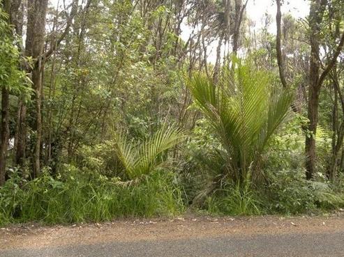 22 Napuka Road, Henderson Valley