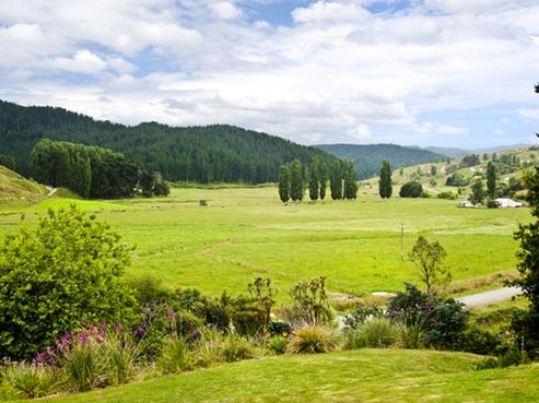 418 Waiatai Road, Wairoa