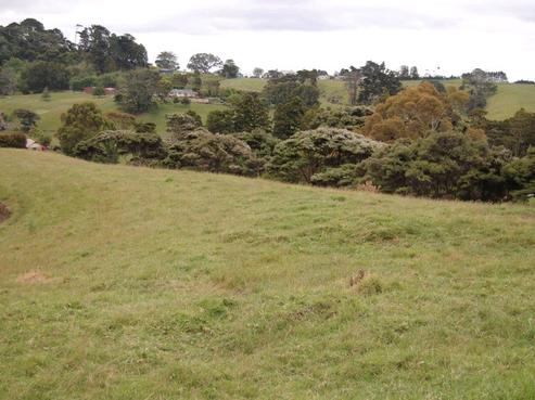 52D Fork Road, Kumeu