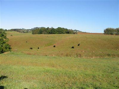 38 Glenbogle Drive, Buckland