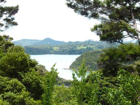 51 Te Haumi Drive, Paihia