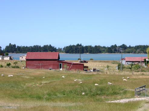 79 Rowling Loop, Lower Moutere