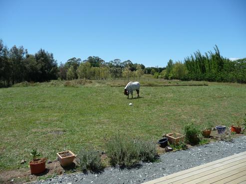 7060 State Highway 1, Kaitaia