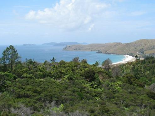 272A Black Jack Road, Kuaotunu