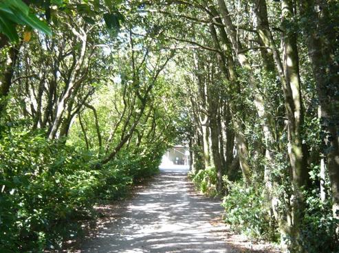 281 State Highway 53, Featherston