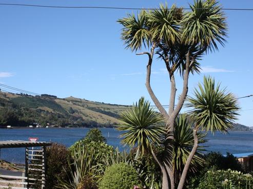 1 Porterfield Street, Macandrew Bay