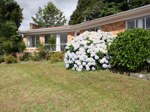 128 Bluff Road, Pokeno
