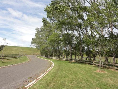 3 Beechwood Road, Feilding