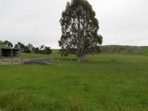 135 Marshall Road, Gore Surrounds