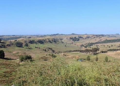 2739 Wairamarama Onewhero Road, Glen Murray