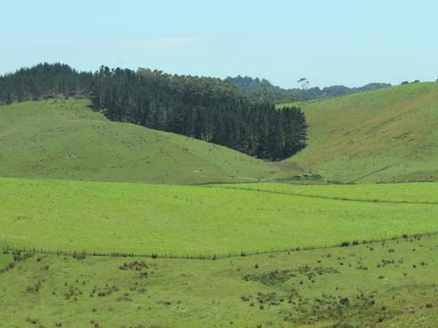 398 Wakelin Road, Kerikeri