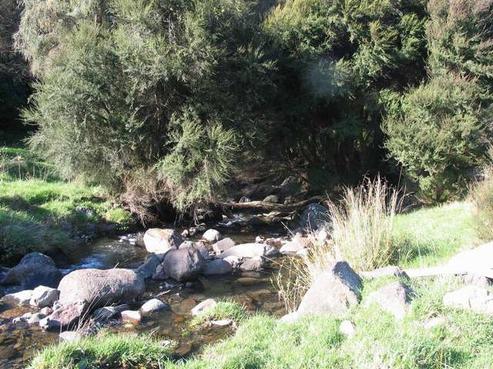 53 Montgomerys Road, Little River