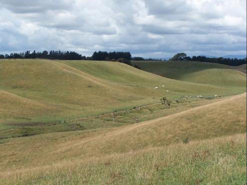 324 Sandon Road, Feilding