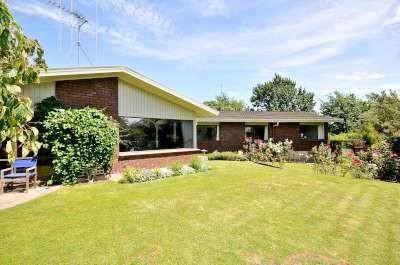 17 Armagh Street, Hamilton East
