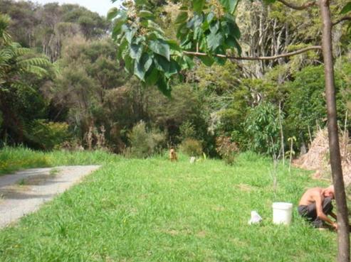 47 Pupuke Mangapa Road, Kaeo