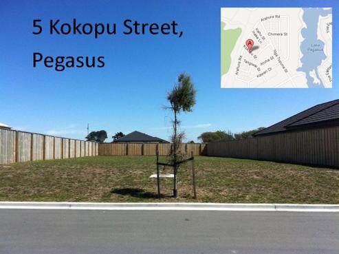 5 Kokopu Street, Pegasus