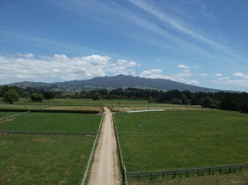 728 Pirongia Road, Pirongia