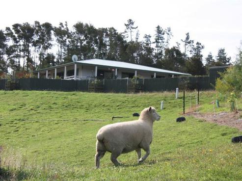 246 Pupu Valley Road, Takaka