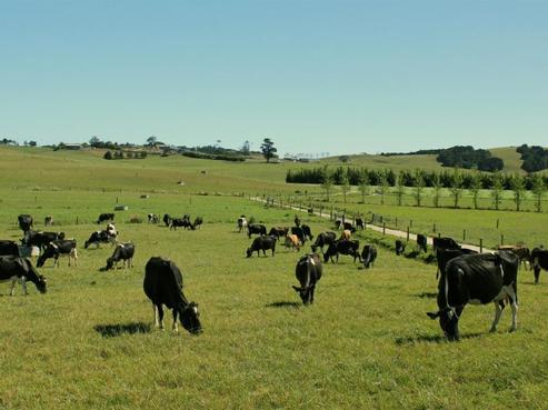 260 Waiteitei Road, Wellsford