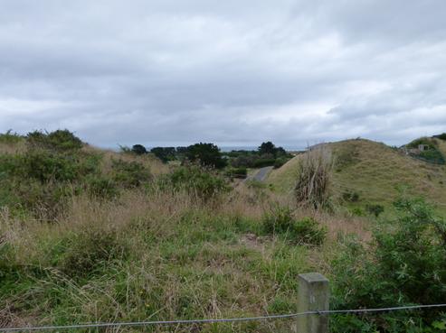 177 Peka Peka Road, Peka Peka