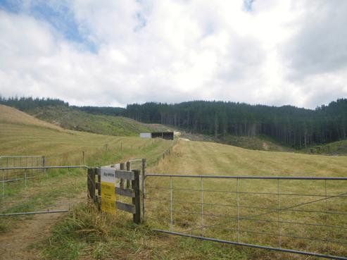 520 Kapowai Road, Coroglen